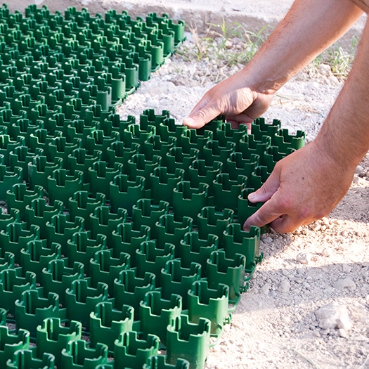 Laying Dakota Green Plus Grid